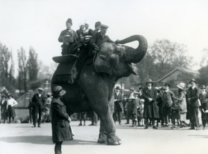 Armenian visitors ride Indiarani, watched by crowds of onlookers, London Zoo